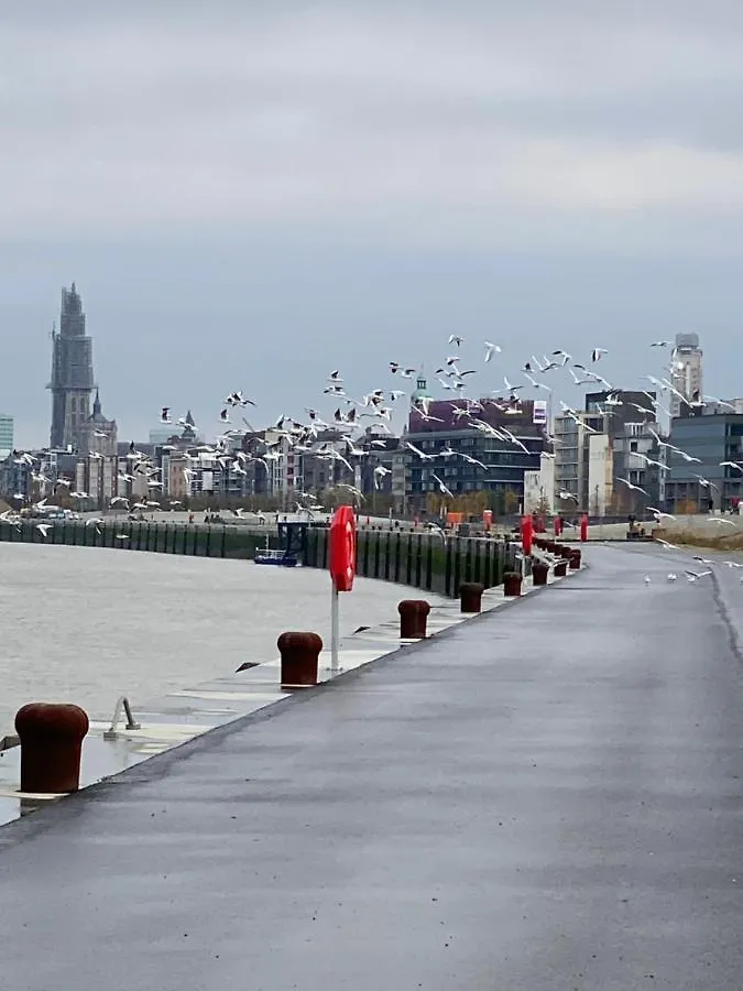 Apartament Luxe-Appartement Aan De Schelde Antwerpia Belgia